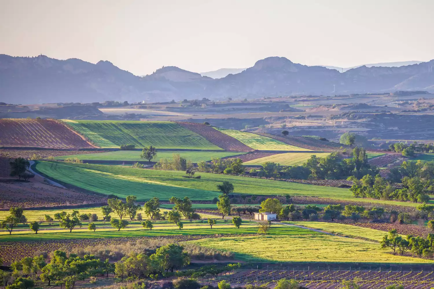 The village of Briones and fields. Rioja Alta, Spain