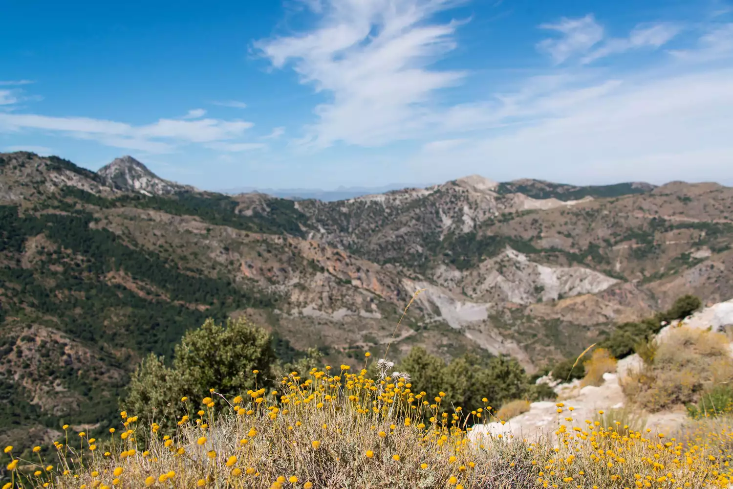 Summer in Sierra Nevada mountains